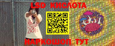 мдпв Новозыбков