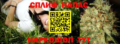 мдпв Новозыбков