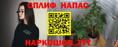 наркотики Новодвинск