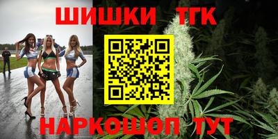 мдпв Новозыбков